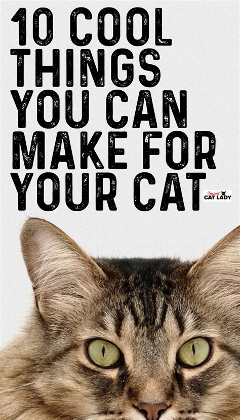 10 Cool Things You Can Make For Your Cat Cat Collars Diy Pet Care