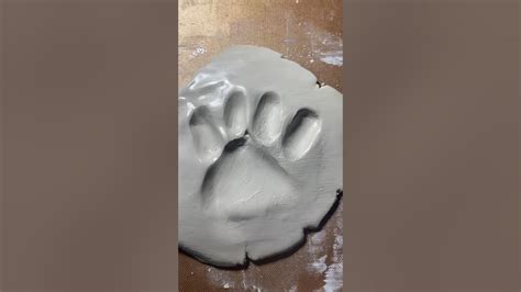 Making My Paw Print Not Original Therian Art Clay 🐾 Youtube
