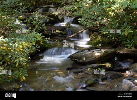 A Lovely Scenic Stream With Minature Spilling Waterfalls Along The