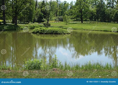 Small Pond Surrounded By Trees And Shores Covered With Lush Green Grass