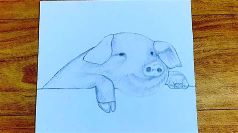 How To Draw A Pig Very Easy For Beginners Pig Sketch Draw Session Youtube