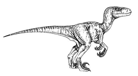Blue Owen Jurassic World Coloring Pages Coloring Pages