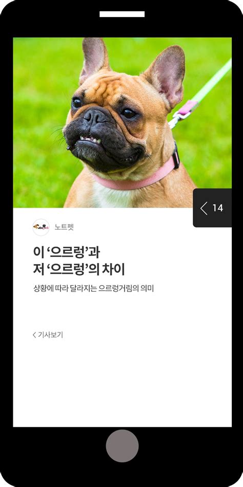 광고정보센터 Mobile광고 이으르렁과 저으르렁의 차이