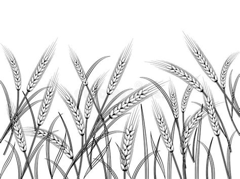 Wheat Stock Vector Illustration Of Natural Design 103153623