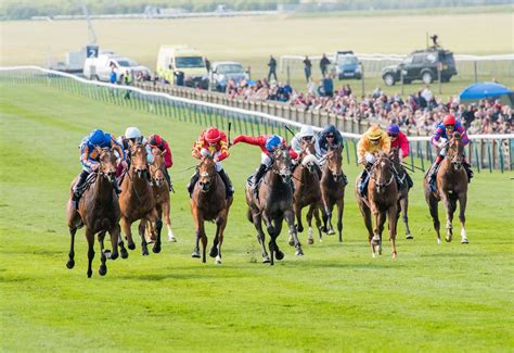 Newmarket Racecourses Excited At The Prospect Of Being Part Of Racings Project Restart