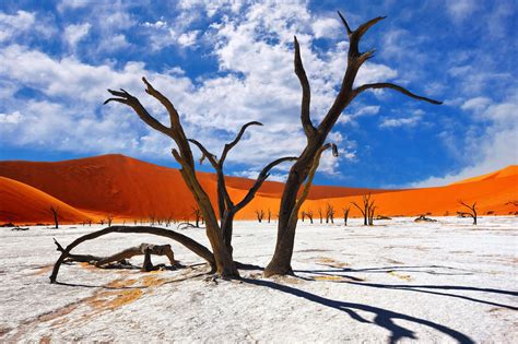 Drive From Windhoek To Sossusvlei Join Up Safaris