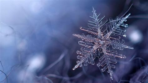 Snowflake Wallpaper Images 72 Images