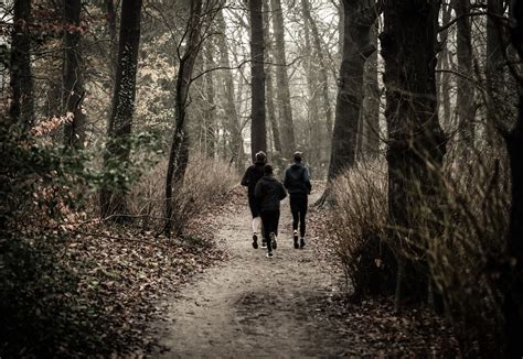 Monochrome Photography Of People Jogging Through The Woods · Free Stock