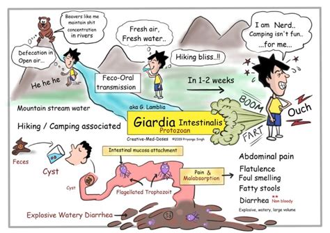 Giardia Explosive Diarrhea For Hikers Creative Med Doses