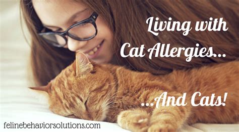 Living With Cat Allergiesand Cats Cat Allergies Living With Cats