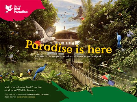 Bird Paradise Tickets in Singapore | Pelago