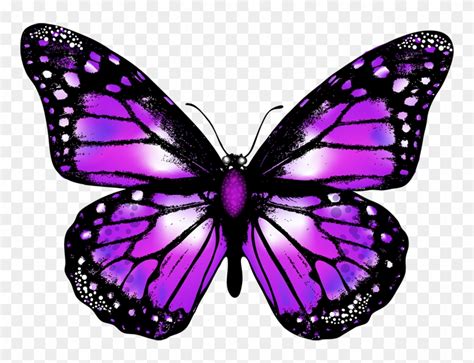 Maybe you would like to learn more about one of these? Purple Butterfly Png - Transparent Background Butterfly ...
