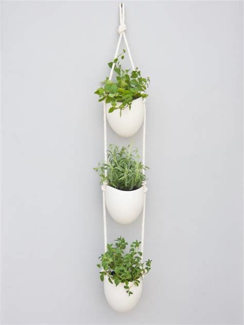 5 Indoor Herb Garden Ideas Hgtvs Decorating And Design