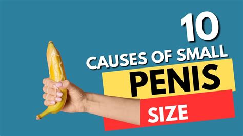 Causes Of Small Penis Size Youtube
