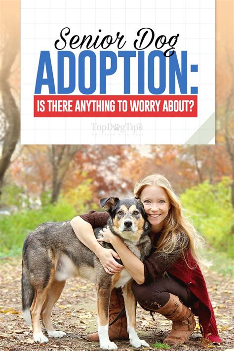 Senior Dog Adoption Should You Be Worried Top Dog Tips