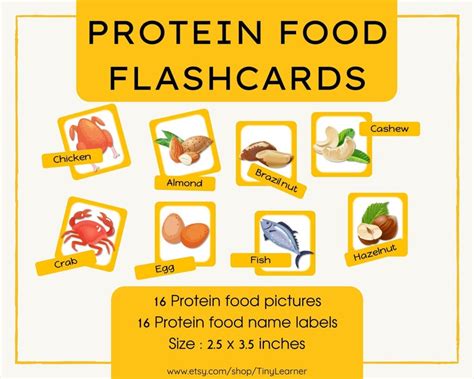 Protein Food Flashcard Food Groupmontessori Etsy India