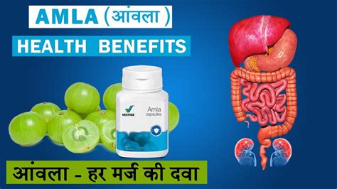 In one study amla was able to promote hair growth better than minoxidil. Vestige Amla Capsules Benefits in Hindi Amla | For Hair ...