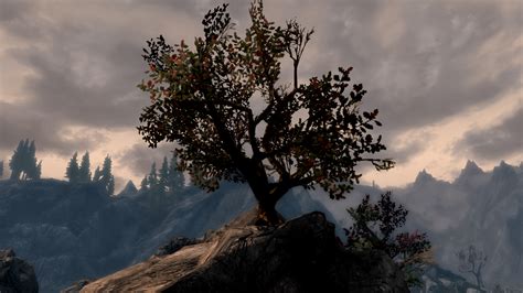Reach Tree Reborn At Skyrim Nexus Mods And Community
