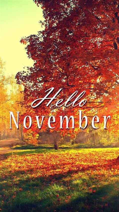Wallpaper Iphonehello Novemberfall ⚪️ Hello November November