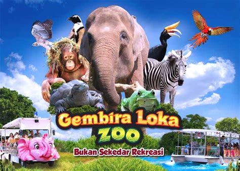 Harga Tiket Masuk Gembira Loka Zoo 2021 Fasilitas Dan Wahana