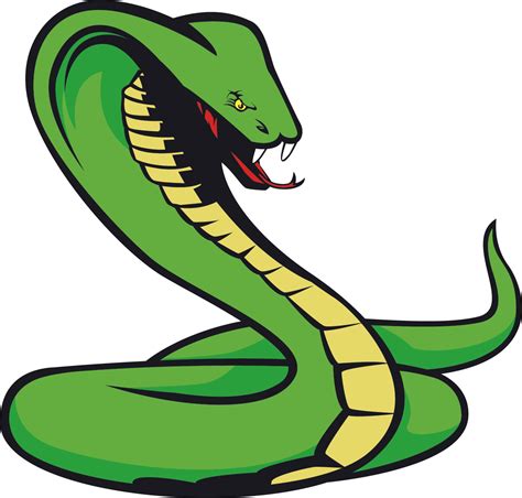 Snake Clipart Transparent Download High Quality Snake Clipart