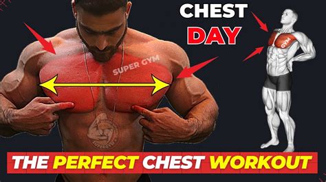 Chest Workout To Build Bigger Chest Fast Chest Exercises At Gym Youtube