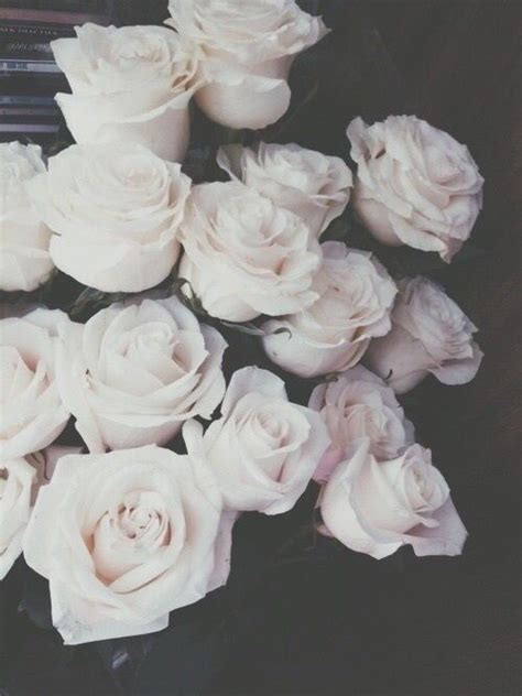 Immagini Di Fiori Sfondi Floreali Rose Bianche