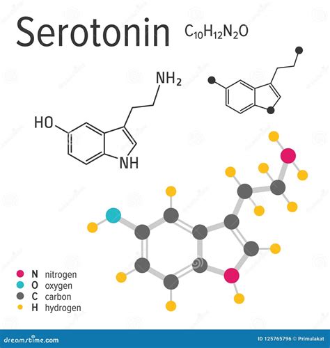 Fórmula Química De La Molécula De La Serotonina Del Vector Ilustración Del Vector Ilustración