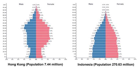 Population Pyramids Showing The Distribution Of Sex And Age Groups In Download Scientific