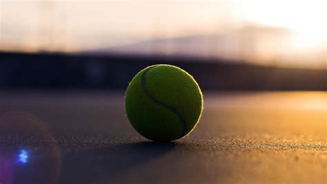 Schmutzig Indica Zahnschmerzen hintergrundbilder tennis Möwe Pest