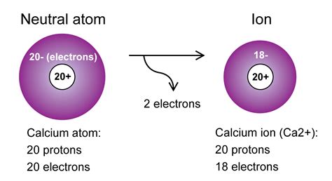 Calcium Ion