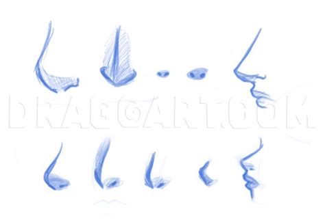 How To Draw Manga Noses Step By Step Drawing Guide By Dawn Dragoart