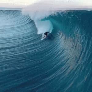 Surfsup Surfing Surfsup Surfing Wave Discover Share Gifs Sup