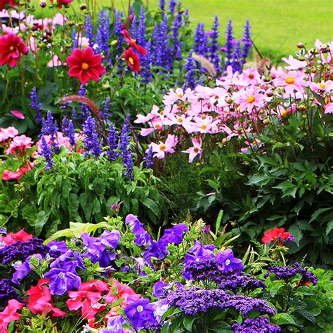 Free Garden Design Software For Pc Zip Garden Plants For 50th Birthday