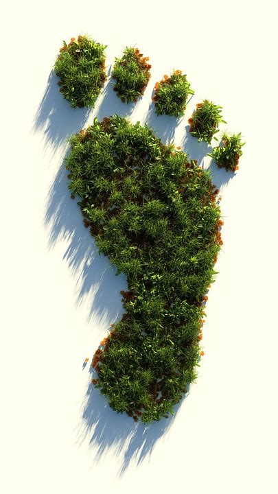 Download Green Healthy Footprint Royalty Free Stock Illustration