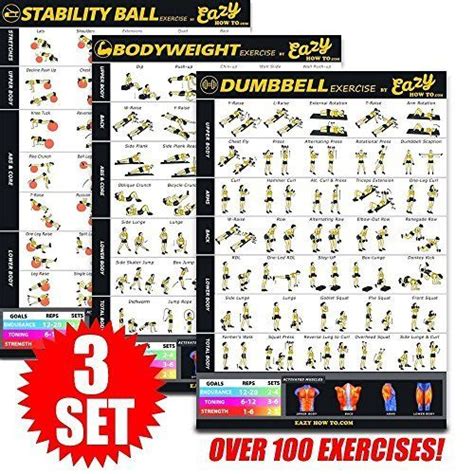 Dumbbell Exercises Workout Poster Now Laminated Strength Training