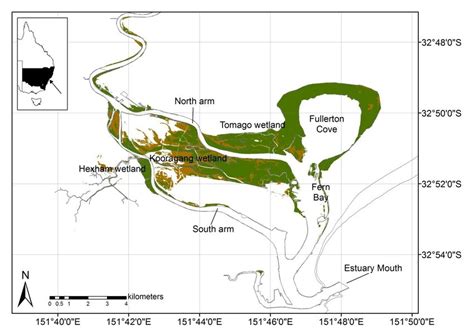 Map Showing The Lower Hunter River Estuary And Associated Saltmarsh