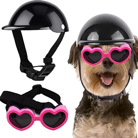 Best Dog On A Motorcycle Wearing Goggles
