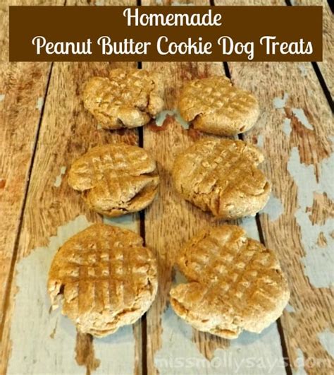 Homemade Peanut Butter Cookie Dog Treat Recipe 3 Ingredients