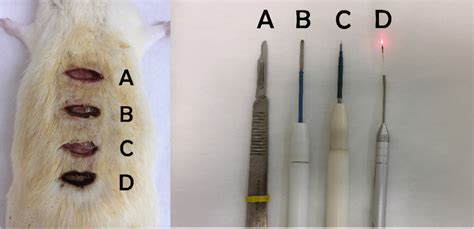 Types Of Experiment Incisions A Conventional Blade B
