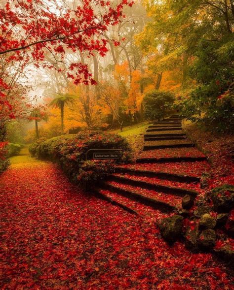 Autumn Paradise Garden Rpics