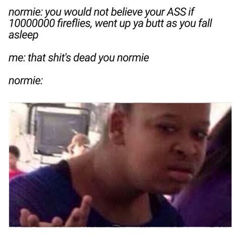 Non Normie Memes Humourve