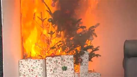Firefighters In Nassau County Demonstrate How Quickly Dry Christmas