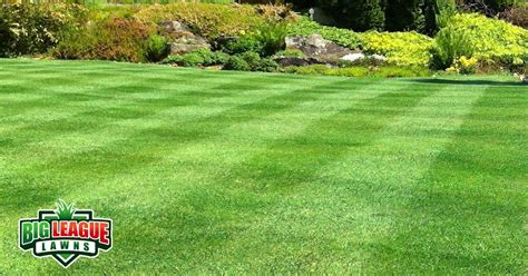 5 Simple Tips To Make Grass Green In Utah Big League Lawns