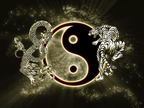 Yin And Yang Tigre E Dragão Yin And Yang Tiger And Dragon Yin Yang