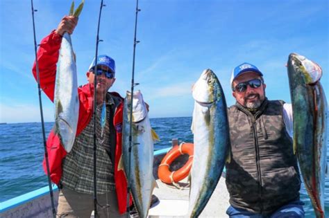 Baja California Un Excelente Destino De Pesca Deportiva Living And