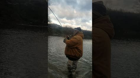 Steelhead Fishing The Chagrin River Youtube