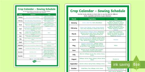 Sowing Schedule Crop Calendar Teacher Made