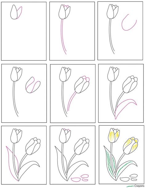 Easy How To Draw A Tulip Tutorial Video And Tulip Coloring Page Flower Drawing Tutorials