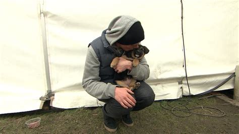 Puppy Love Us Olympians Work To Adopt Stray Dogs In Sochi